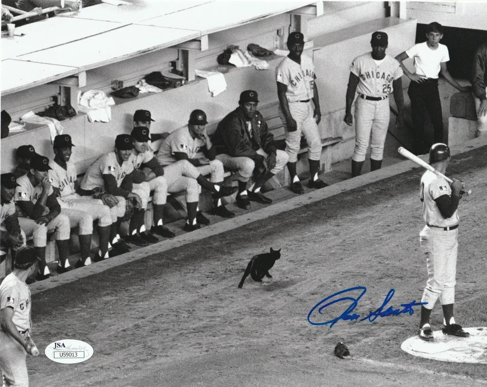 RON SANTO Signed Chicago CUBS BLACK CAT 8X10 PHOTO JSA Auth - Image 1 of 1
