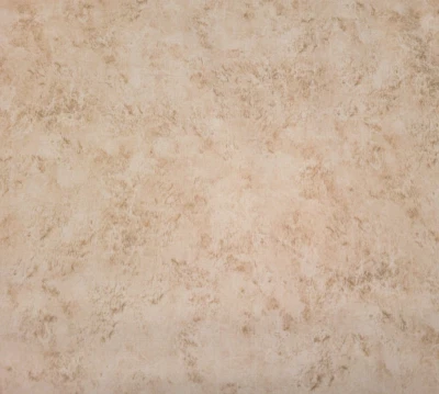 32" Sierra Quilting Treasures Tonal Beige - Image 1 of 3