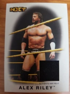 2016 Topps WWE Heritage Alex Riley alfombra auténtica reliquia 030/199 casi nuevo como nuevo - Imagen 1 de 1