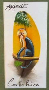 Costa Rica handbemalt Feder Kunst Affe signiert Aguero mattiert & gerahmt ~4,5x6" - Bild 1 von 3