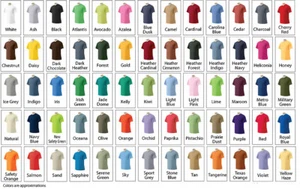 Gildan blank Ultra Cotton T Shirt multiple colors and sizes S M L XL 2X 3X 4X - Picture 1 of 4