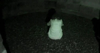 Die Präsenz [Blu-ray] - DVD  UGVG The Cheap Fast Free Post - Image 1 of 2