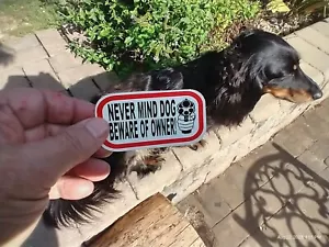 Small Hand made Decal Sticker NEVER MIND DOG BEWARE OF OWNER - Picture 1 of 6