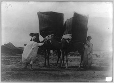 Merchants of the Sahara Desert,North Africa,Wares on backs of Camels,1880-1923