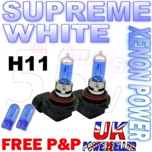 MG TF Xenon UPGRADE BULBS H11 55W Fari Nebbia / Spot Luce Bianco Supremo + 501's - Imagen 1 de 1