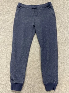 Patagonia Pants Mens Medium Blue Organic Cotton Jogger Sweatpants Zip Pocket - Picture 1 of 11
