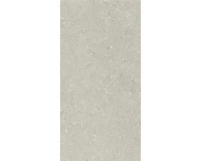 Feinsteinzeug Terrassenplatte Shellstone taupe rektifizierte Kante 120 cm x 60 c - Bild 1 von 3