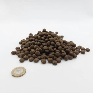 2 x 12Kg Salmon and Potato Cereal & Grain Free Sensitive Adult Working Dog Food - Picture 1 of 1