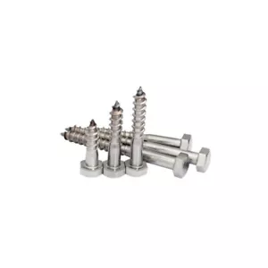 Vite da carrozza M5 M6 M8 M10 in acciaio inox testa esagonale viti per legno bulloni lag - Foto 1 di 1