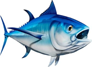 Bluefin Tuna Vinyl Sticker Fish Decals for Boat Car Vehicle Truck Fishing - Picture 1 of 13