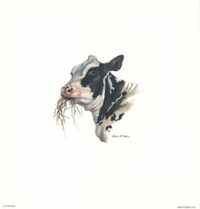 Country Cow Portrait Print by Denise Nelson 11x11 in - Picture 1 of 1