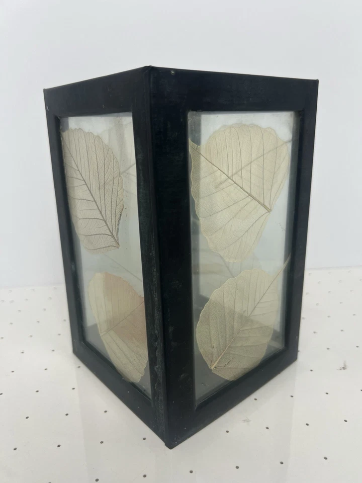 Candelabro Hoja Prensada Vidrio y Metal Linterna 8" Marco Negro Decoración Boho India Foto 1 de 4