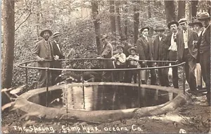 RPPC Oceana County Michigan Visitors at The Spring at Camp Houk early 1900s - Picture 1 of 2