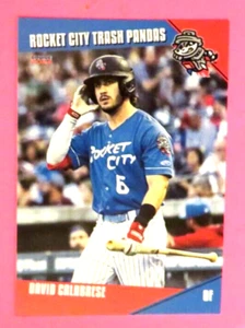 2024 Choice, Rocket City Trash Pandas - DAVID CALABRESE - Canada - Picture 1 of 1