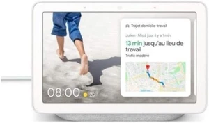Enceinte intelligente Google Nest Hub Galet Bluetooth Gris Clair - Picture 1 of 3