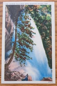 Tarjeta postal del Parque Nacional Rainbow Falls Grt Smoky Mountains PC alrededor de 1920 Miller - Imagen 1 de 1