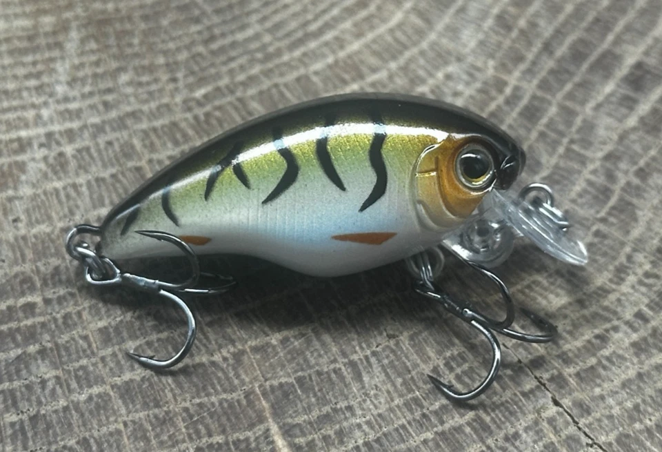Maria Japan - Crankbait de buceo poco profundo - MC-1 SS38F Foto 1 de 1