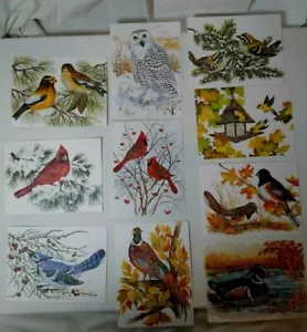 "John Cornacchio leere Grußkarten Menge 10 mit Umschlägen Vogel Eule 5 1/2""x4" - Bild 1 von 11