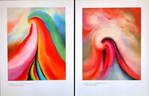 Georgia serie O' Keeffe stampa artistica vintage 2 targhette libro numeri 29 e 31 - Foto 1 di 5