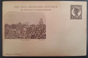 1898 Queensland Australia 1d Chocolate PrePrint Postcard Vineyard, Nudgee Mint - Picture 1 of 2