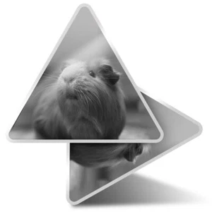 2 x Triangle Stickers 10cm - BW - Cute Ginger Guinea Pig Animals Pets #41036 - Bild 1 von 9