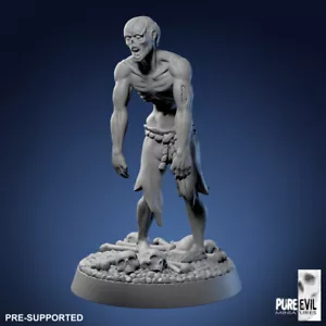 Zombie Undead Individual 4 - Pure Evil -  Dungeons and Dragons 32mm Fantasy D&D - Picture 1 of 1