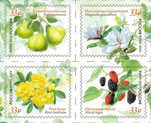 Russia 2025 Flora of Russia. Plants (MNH OG **) block of 4 stamps - Picture 1 of 1