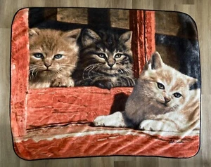 Fleece Kittens Cats in Window Throw Blanket Loftex Woodland Collection 62"x49" - Picture 1 of 5