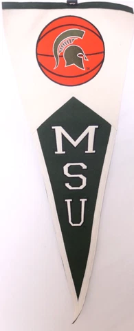 NEW Michigan State MSU Spartans Winning Streak Sports Wool Blend Pennant Flag Cover