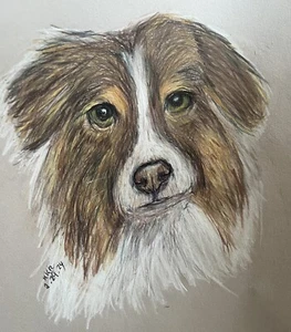 Commissioned Customized Art Katesnatureart.carrd.co Petportraitsbykate.carrd.co - Picture 1 of 17