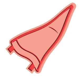 Cuttlebug Disney Die Cut Team Spirit Emboss folder Cheerleading Pennant scrapboo - Picture 1 of 2