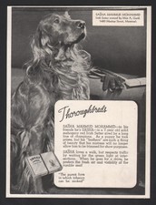 1958 Canadian Sweet Caporal Cigarettes print ad Irish Setter Thoroughbreds