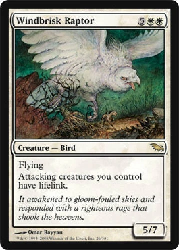 WINDBRISK RAPTOR Shadowmoor MTG Magic the Gathering Cards DJMagic - Image 1 of 1