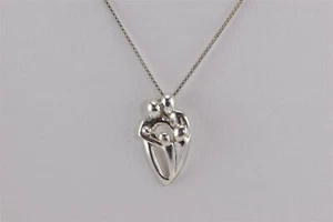 Colgante familiar Dakota West cadena de 20" de plata de ley de 24 mm x 18 mm - Imagen 1 de 6