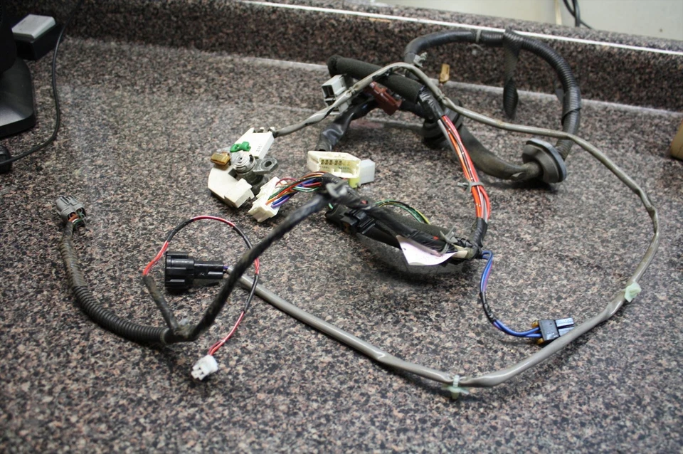 Nissan Máxima 1998 arnés conector cable puerta pasajero delantero derecho con bloqueo 98 Foto 1 de 4