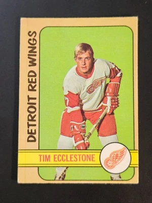 1972-73 O-PEE-CHEE HOCKEY #55 TIM ECCLESTONE DETROIT RED WINGS A - Image 1 of 4