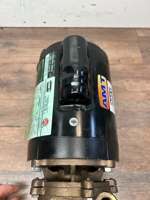 Bomba de bronze AMT 1/3 HP 115/208-230 3680-004-09 - Imagem 1 de 4