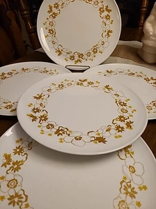 Set Of 5 Centura By Corning Laurel 10" Dinner Plates - 1972 Discontinued - Picture 1 of 4