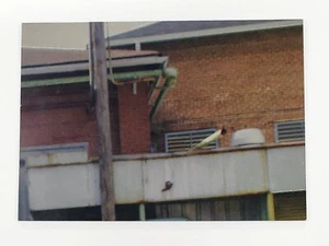 2016 The Walking Dead Season 4 Part 1 Cryptomium Terminus Puzzle Z3 - Picture 1 of 1