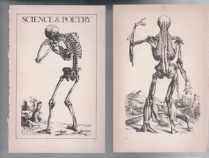 MEMORABILIA ,SET OF 6 B/W PRINTS , ANATOMY BODY , SCIENCE - Picture 1 of 4