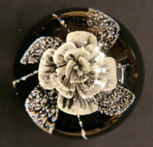 Caithness Art Glass Scotland HONESTY Paperweight #122/250 Limited Edition  - Picture 1 of 6