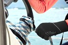 PREMIUM NEOPRENE SAILING GLOVES 
