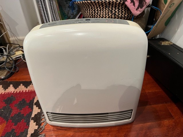 Las mejores ofertas en Calentadores de gas natural Rinnai espacio en casa |  eBay