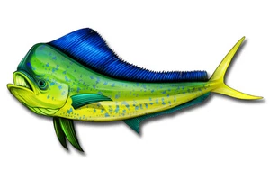 Pegatina de pescado Mahi taza de delfines computadora portátil coche de pesca vehículo ventana calcomanía parachoques - Imagen 1 de 2