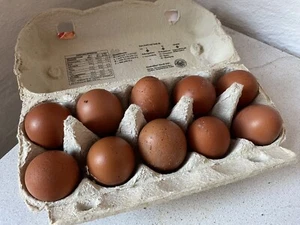 10 Stück Hühnereier; Bruteier, Marans, Braunleger - Bild 1 von 1