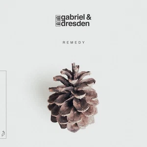 Gabriel and Dresden Remedy (CD) Album - Bild 1 von 1