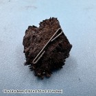 Lodestone Magnetite Natural Magnetic Mineral Specimen Bolivia Collectible Iron