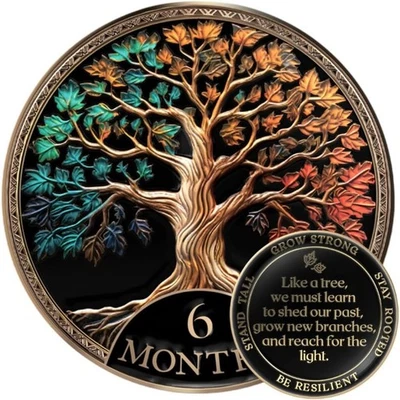 Juego de Regalo Moneda Sobriedad 6 Meses Árbol de la Vida AA Chip con Soporte Cápsula y Tarjeta Foto 1 de 4