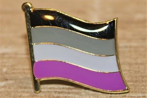 ASEXUELL LGBTQ + Land Metall Flagge Anstecknadel Abzeichen *NEU* MIX & MATCH KAUFEN 3 ERHALTEN 2 - Bild 1 von 3
