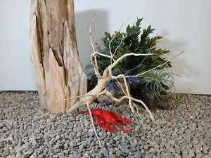 Driftwood aquarium fish & reptiles 10x13" spiderwood root decor - Picture 1 of 7